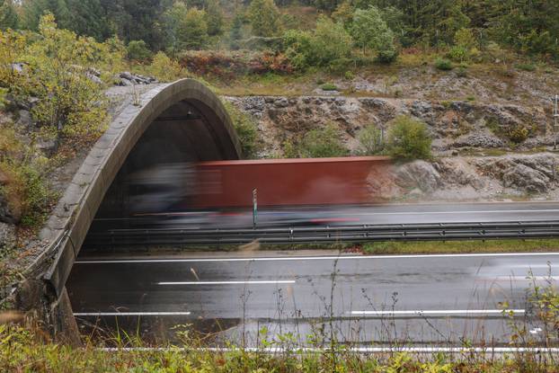 Delnice: Prijelaz za životinje Dedin na autocesti A6 Zagreb - Rijeka