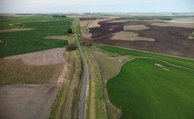 An Argentine town battles a parrot invasion