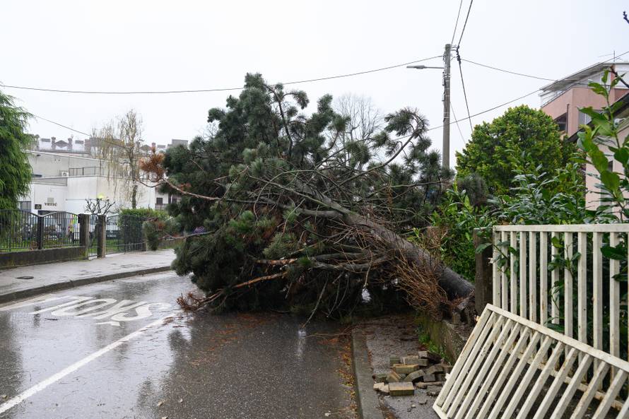 Zagreb: Olujni vjetar poharao Špansko, dignuti krovovi i isčupana stabla 