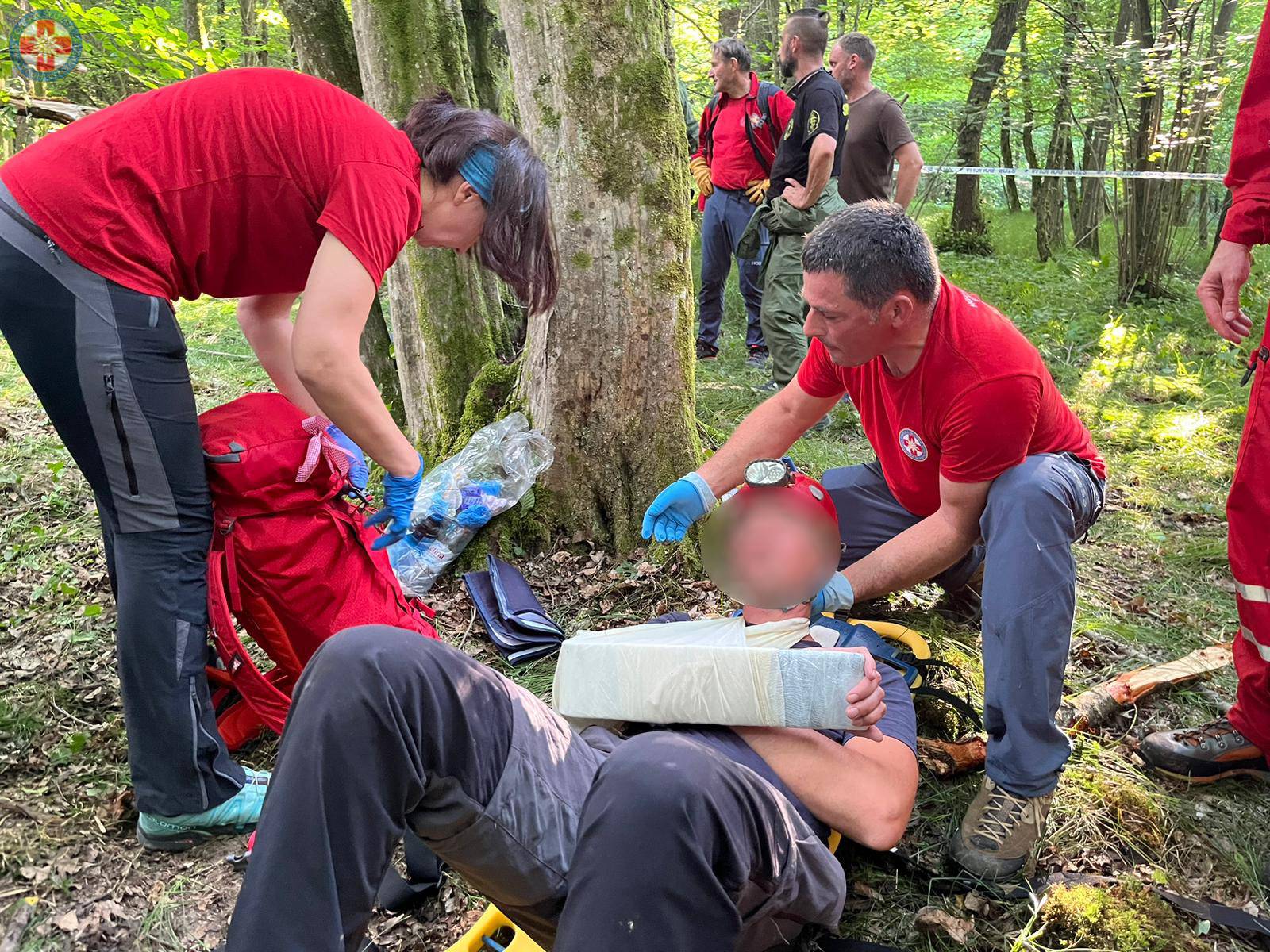 Ovo su slike s mjesta nesreće, HGSS o padu aviona: Našli smo ga u šumi, okrenuo se naopačke