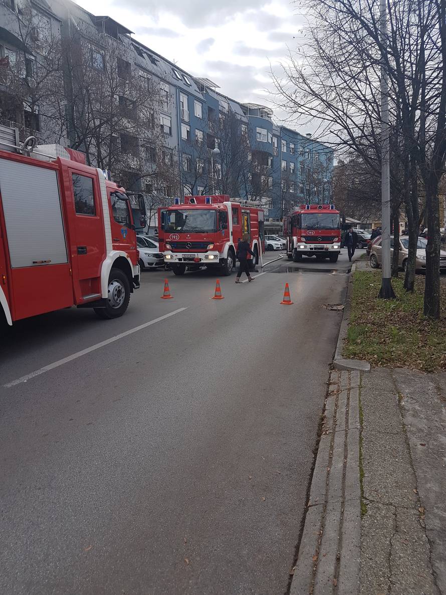 Drama na Malešnici: Vatrogasci iz dima spasili 21 čovjeka i pse