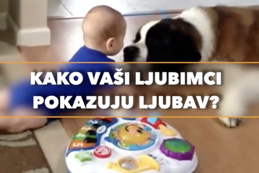 Kako lubimci pokazuju ljubav