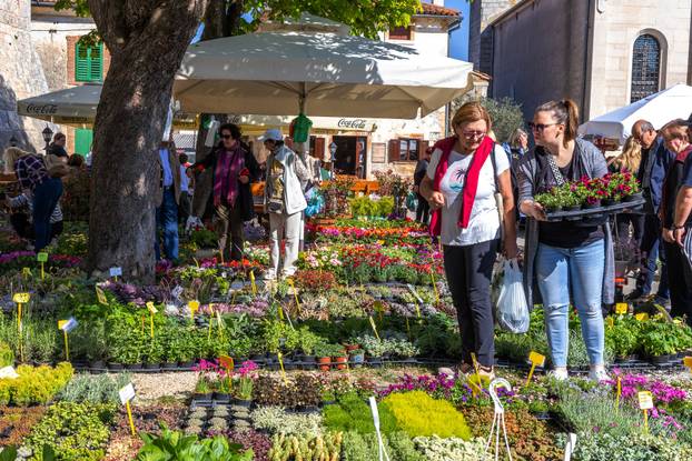 Svetivinčenat: Fešta od Rožic