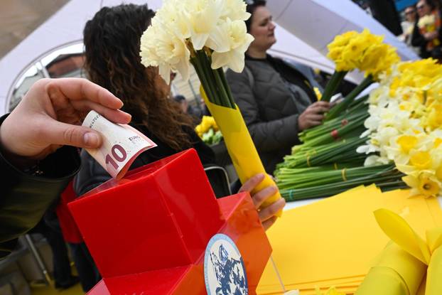 Zagreb: Obilježavanje jubilarnog 30. Dana narcisa