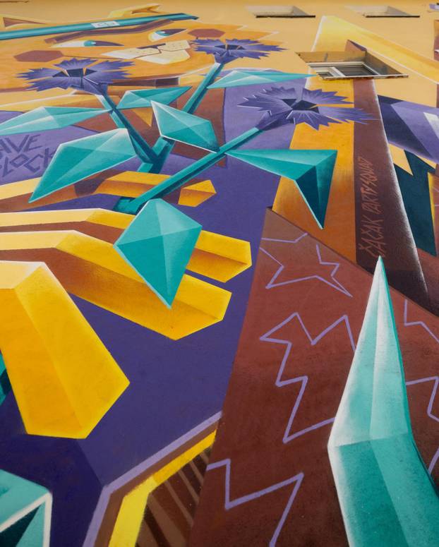 FOTO Grad pretvoren u galeriju: Pogledajte predivne murale na kućama i zgradama u Čačku