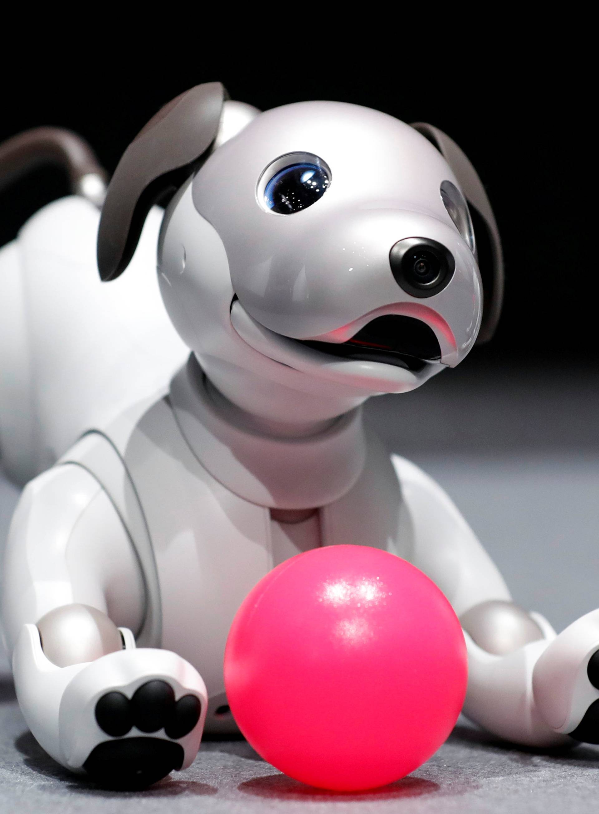 Sony Corp's entertainment robot "aibo" is pictured at its demonstration in Tokyo