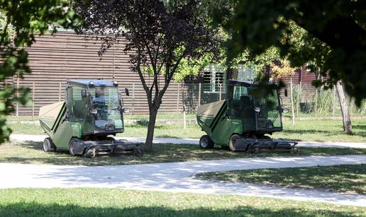 Ambrozija je u zraku: Evo kako se zaštititi ako imate alergiju