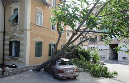 Stablo se srušilo na parkirani automobil, nema ozlijeđenih