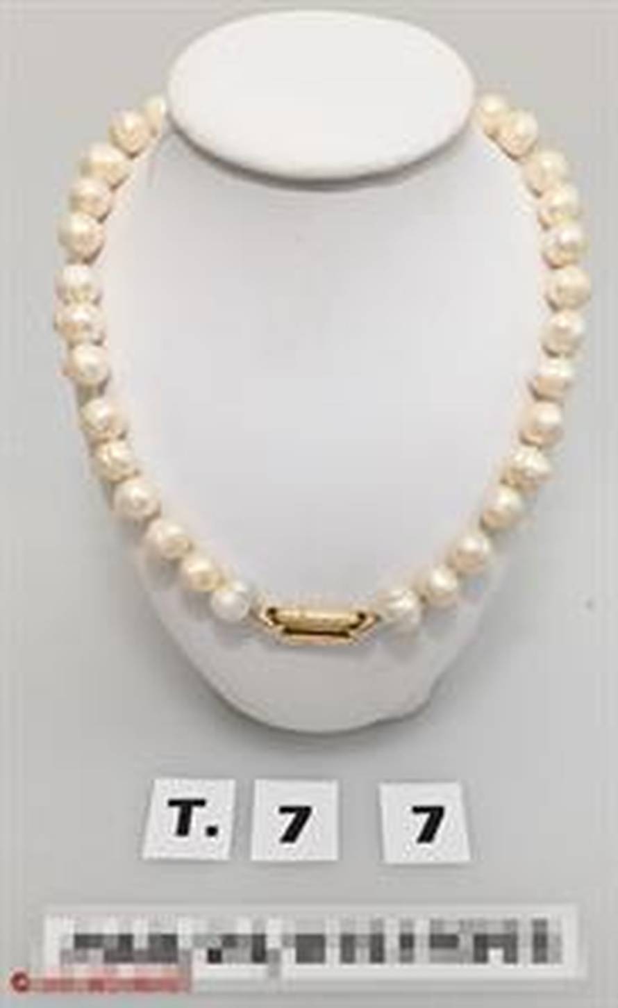 Austrijska šamanica varala ljude. Policija joj u sefu u kući našla preko 10 milijuna eura