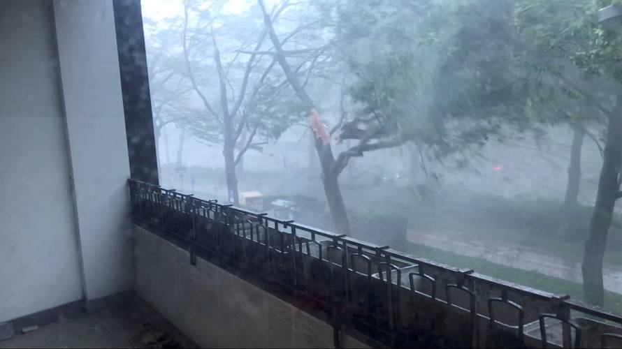 A view shows a tree branch ripping off during a tornado that swept through the town of Paderborn