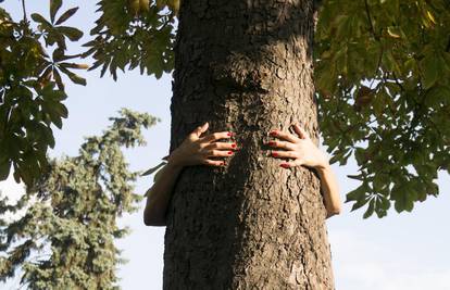 Energija šume: Ako zagrlite drvo, dobit ćete nalet energije