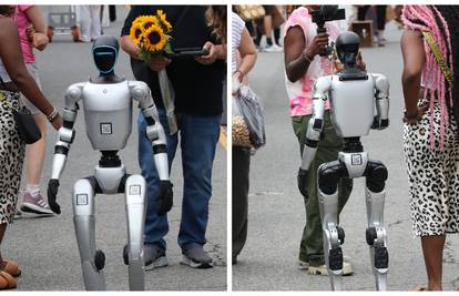 Stari, idemo vidjeti kaj ima na Dolcu. Kažu da su mandarine najbolje za čipove...