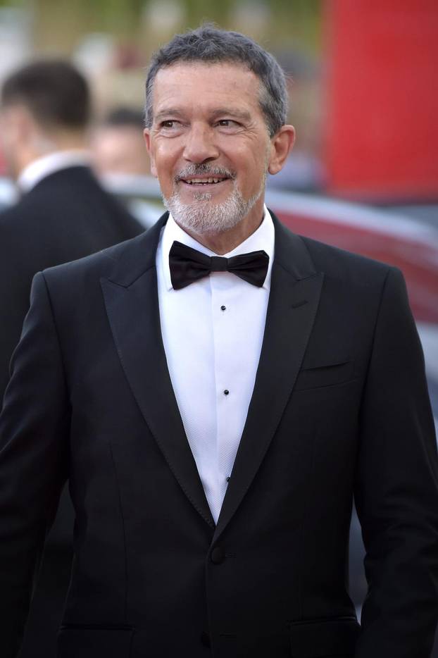 "Babygirl" Red Carpet - The 81st Venice International Film Festi