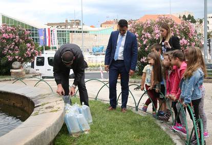 Kornjače u poznatoj šibenskoj fontani dobile društvo - 18 ribica