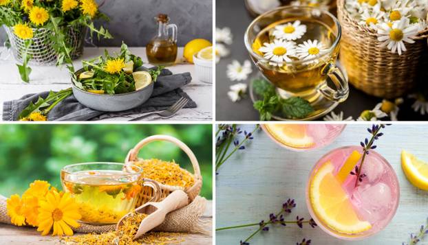 FOTO Više od dekoracije: Evo koje sve vrste cvijeća su jestive