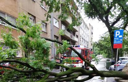 Nevrijeme u Zagrebu: Na auto palo stablo, blokiralo je i ulicu