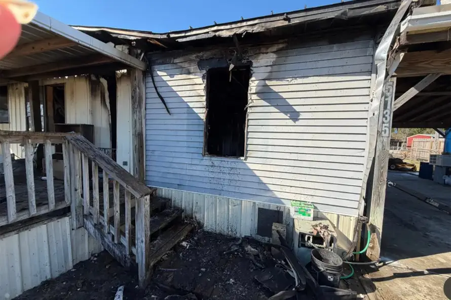 Drama na Floridi: Vjeverica se igrala s kablovima, izazvala požar i zapalila obiteljsku kuću