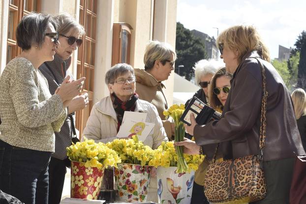 Šibenik: Liga protiv raka Šibenik obilježava Dan narcisa