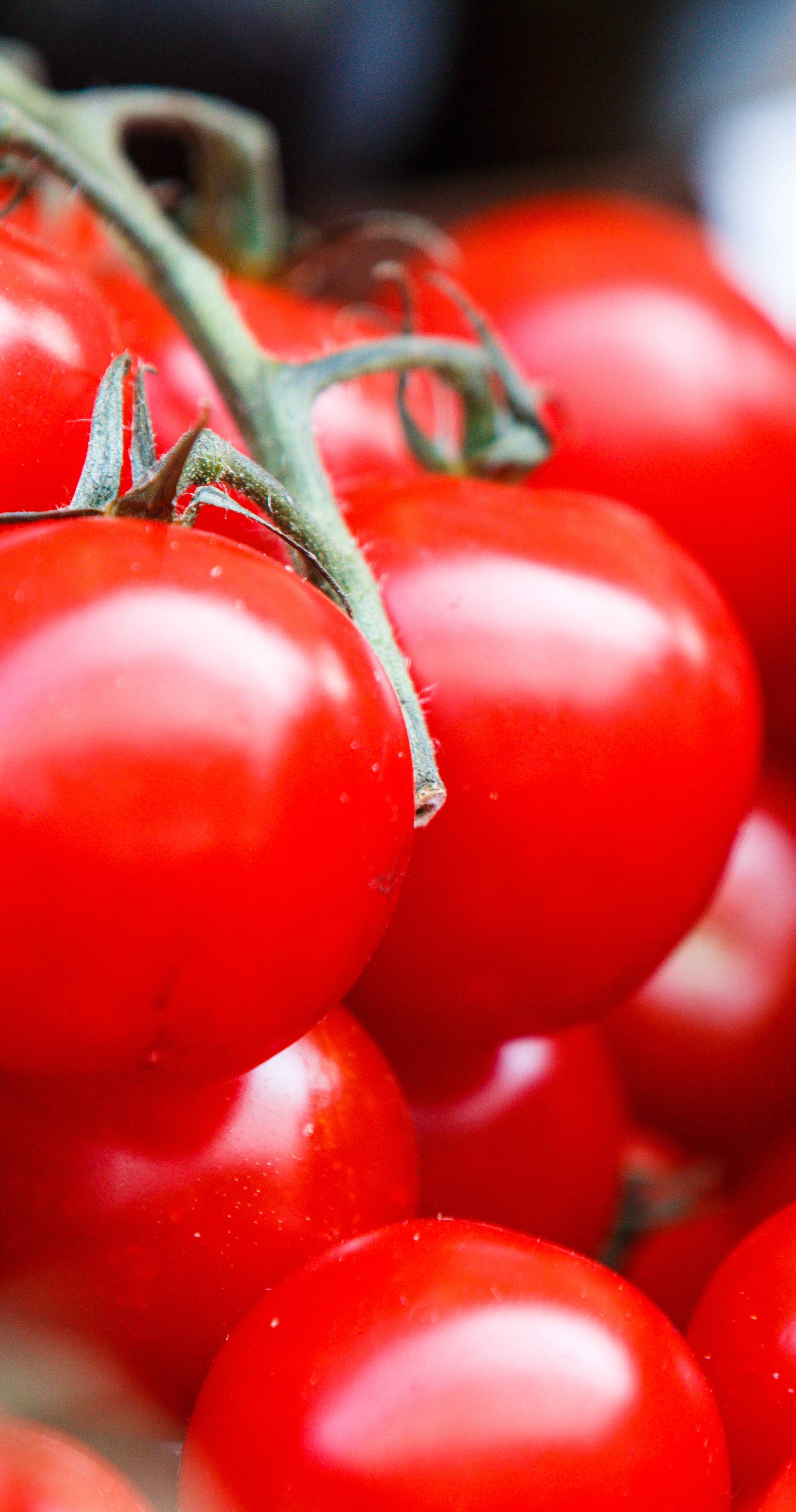Kako čuvati i spremati rajčice da uvijek jedete najukusniji plod