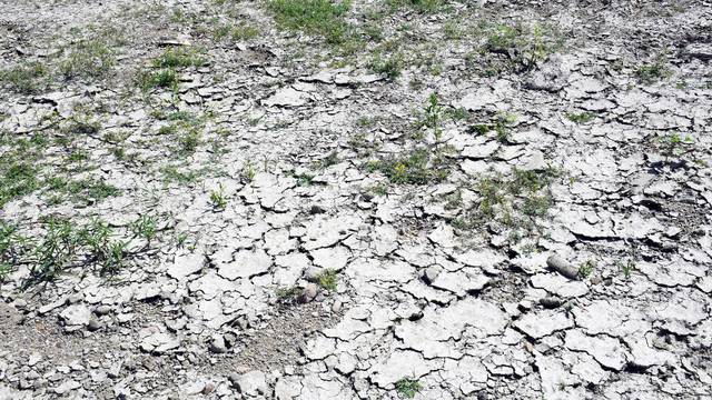 Sisak: Posljedice suše na obali rijeke Kupe