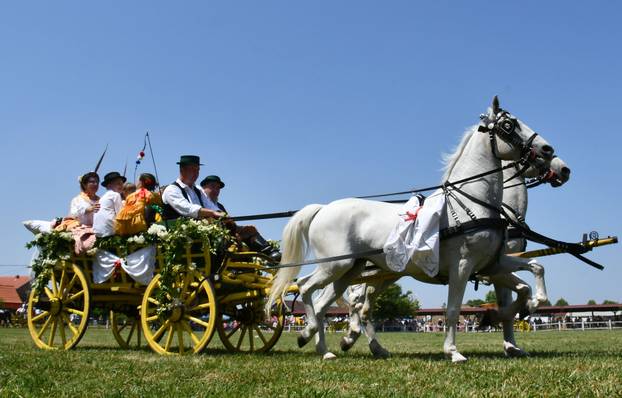 FOTO U znaku tradicije: Na 44. manifestaciji 'Konji bijelci' vozile su se i svadbarske kočije