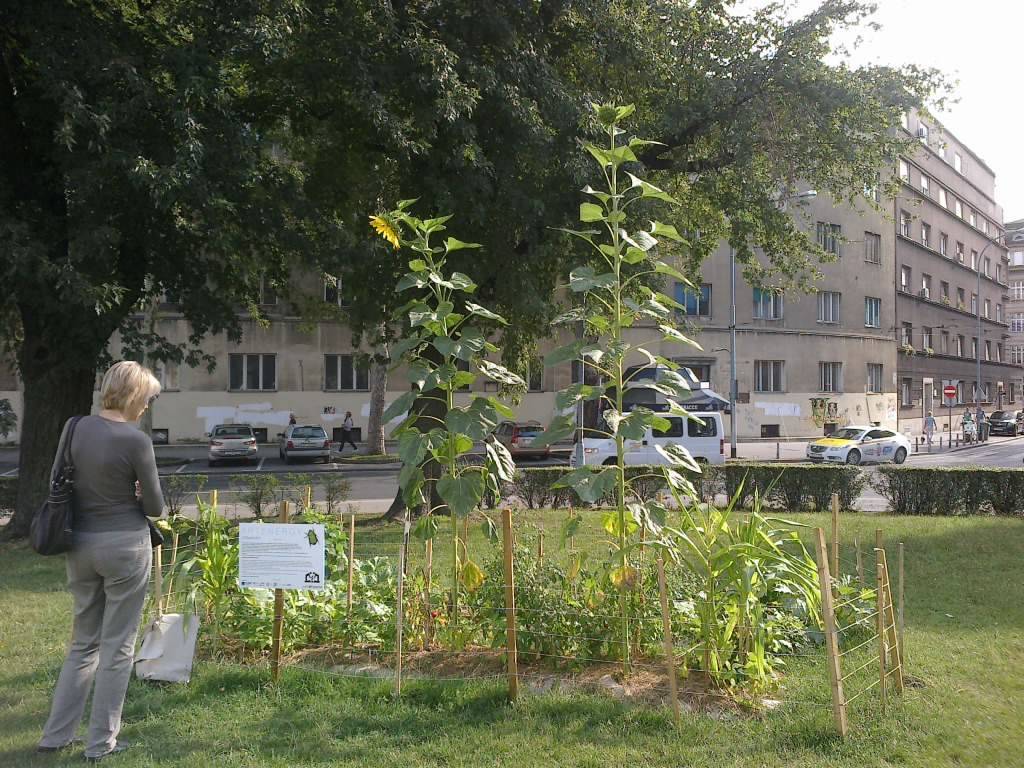 Radionica vrtlarenja: Naučite sami napraviti svoj vrt u gradu