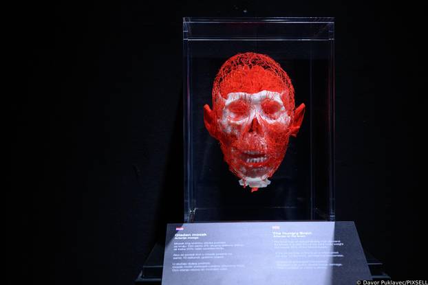 Zagreb: Konferencija uoči otvorenja izložbe seciranih ljudskih tijela Body Worlds Vital