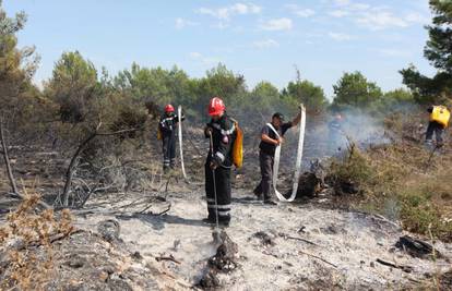 Vatrogasci spasili piliće iz peradarnika kraj Biograda
