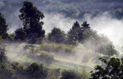 Izgorjelo 1200 čempresa i tuja, šteta viša od 200 tisuća kuna