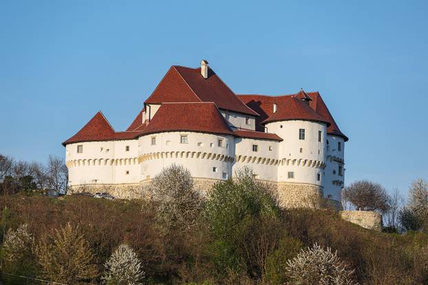 Kod Dvora Velik Tabor top usmrtio muškarca