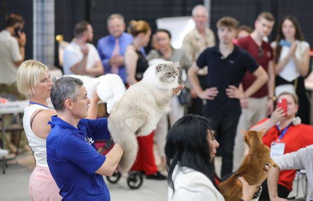 FOTO Otvorena Svjetska izložba mačaka u zagrebačkom Family Mallu! Traje i tijekom nedjelje
