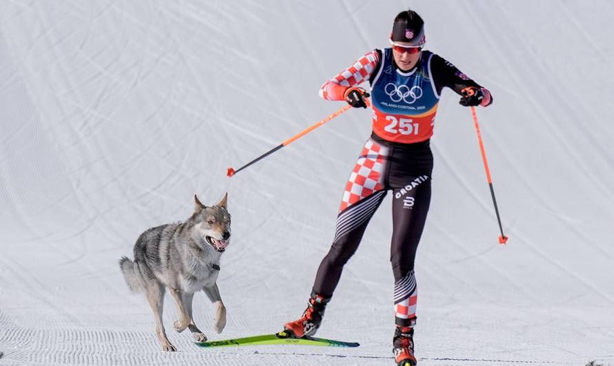 Val di Fiemme, Italy 20260218. A dog on the trail during the cross-country team sprint at Lago di Tesero during the Winter Olympics in Milano Cortina 2026. Photo: Terje Pedersen / NTB   This text is auto translated