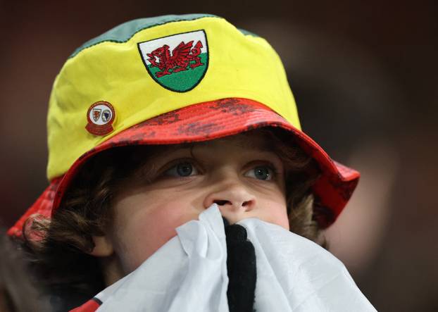 FIFA World Cup - UEFA Qualifiers - Semi Final - Wales v Bosnia and Herzegovina