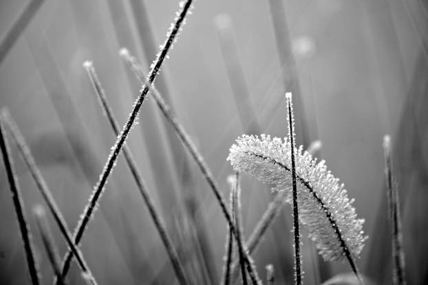 Zagreb: Gusta magla sakrila boje parka Maksimir