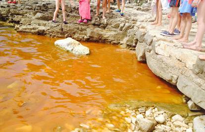 Djeca u panici izlazila: Turiste preplašilo  crveno more u Istri