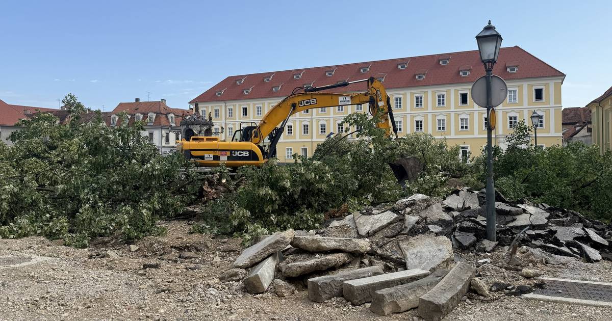Karlovac: Bageri srušili lipe, Grad tvrdi da će presaditi jedno stablo ...