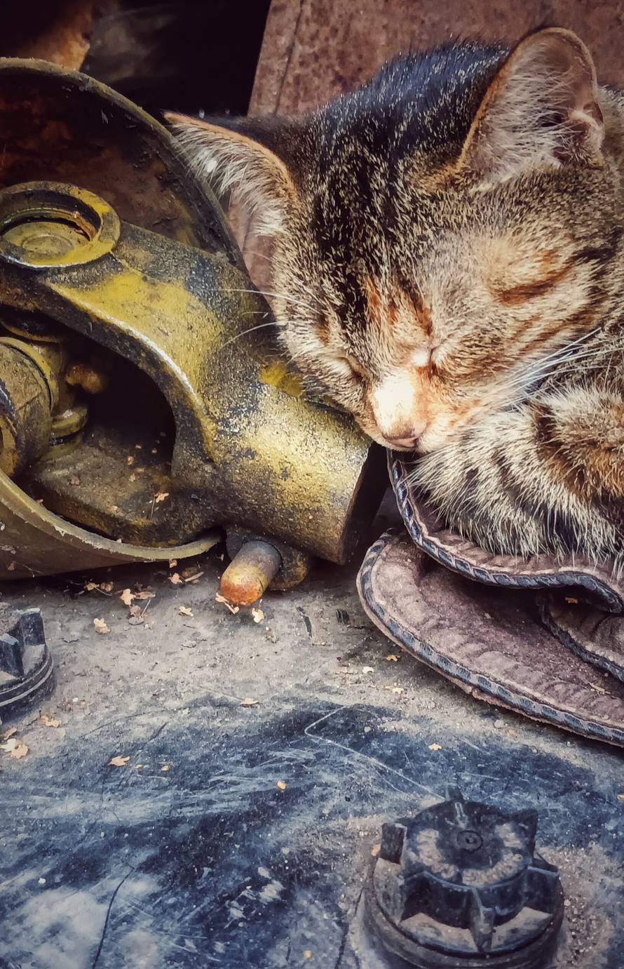 Fotografije iz rata su mu bile izložene u Zagrebu, sada je poginuo braneći svoju zemlju