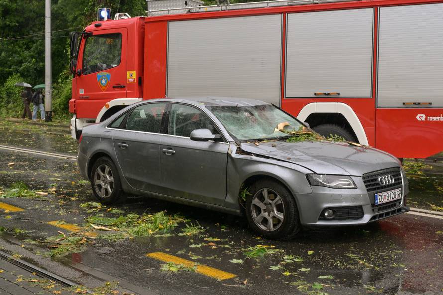 Zagreb: Palo stablo na Maksimirskoj, blokiran promet, vatrogasci na terenu