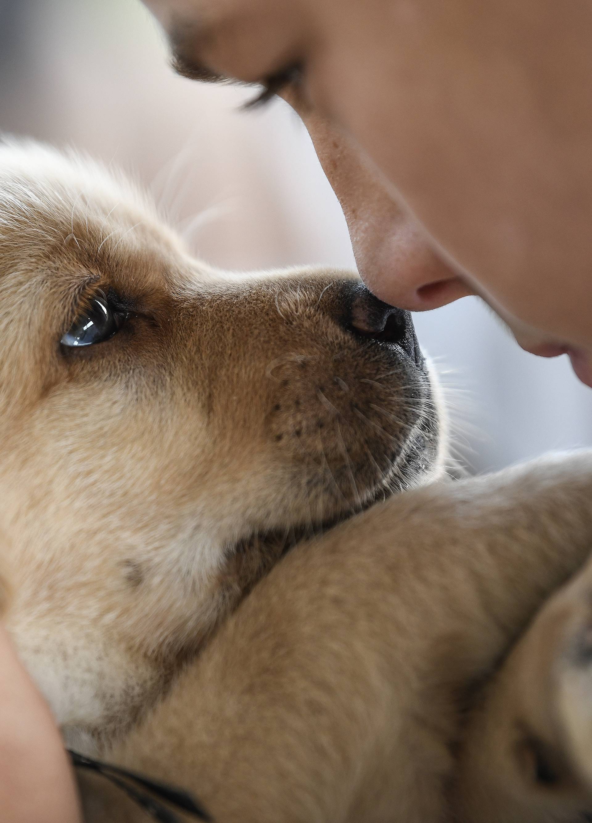Kažnjavanje pasa snažno šteti njihovom psihološkom zdravlju