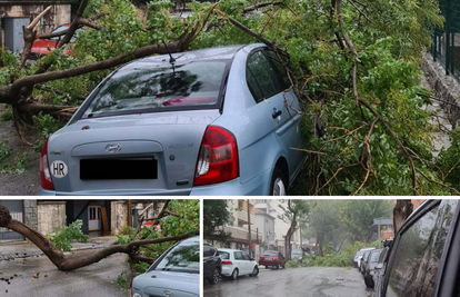 Udari vjetra lomili su grane na Marjanu, dio stabla pao na auto