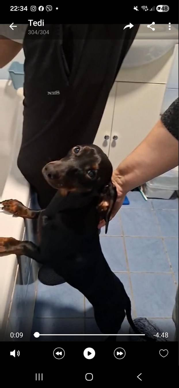 SUPER FOTKE vaših ljubimaca! Neki bi mogli biti viralni hit, ali svi su jednostavno neodoljivi