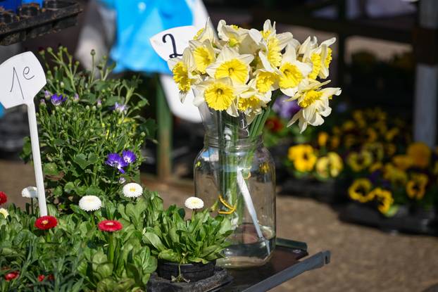 Zagreb: Velika ponuda i potražnja cvijeća za Dan žena