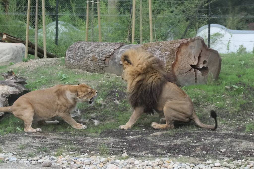 Zoo Zagreb