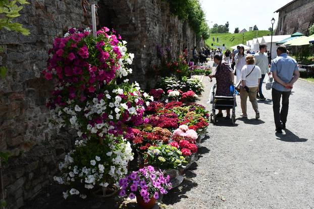 Slavonski Brod: Sajam cvijeća, sadnica, presadnica i cvijetnih dekoracija - Florafest 2026.