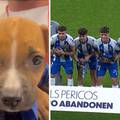 VIDEO Igrači Espanyola izašli s psićima kako bi im pronašli dom