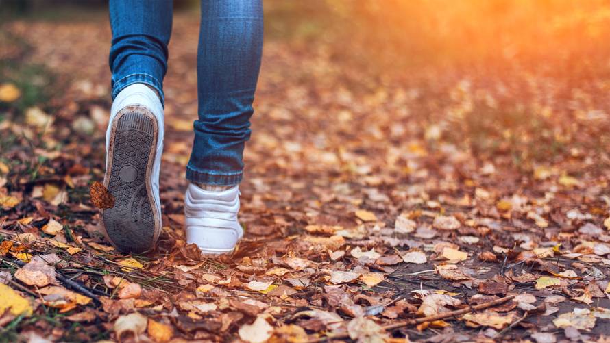 Može li svaki dan proveden u šetnji zaista promijeniti život?