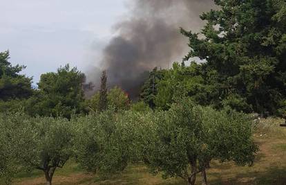 Požar kraj hotela Medena: Na teren izašlo 20 vatrogasaca