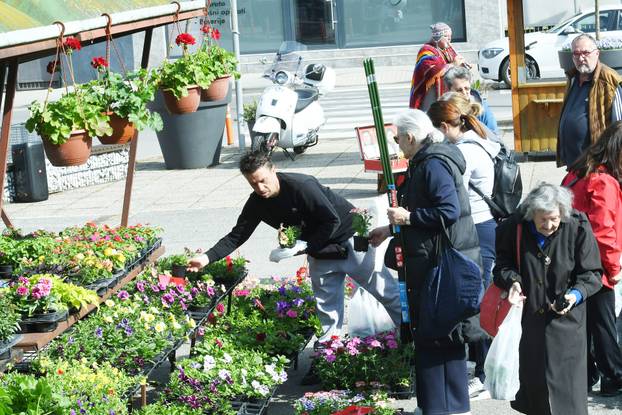 Sisak: Subotnja ponuda cvijećana tržnici
