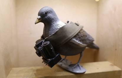 Muzej špijunaže: Mikrofon u martiniju, golub s kamerom 