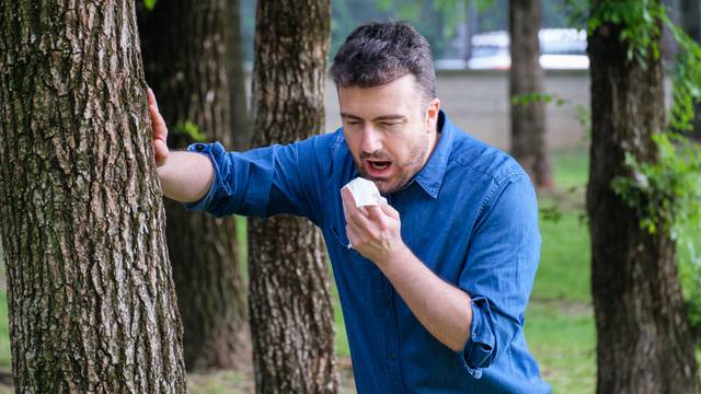 Man with allergy or ill with hay fever sneezing and cleaning nos